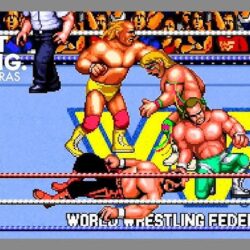 WWF WrestleFest